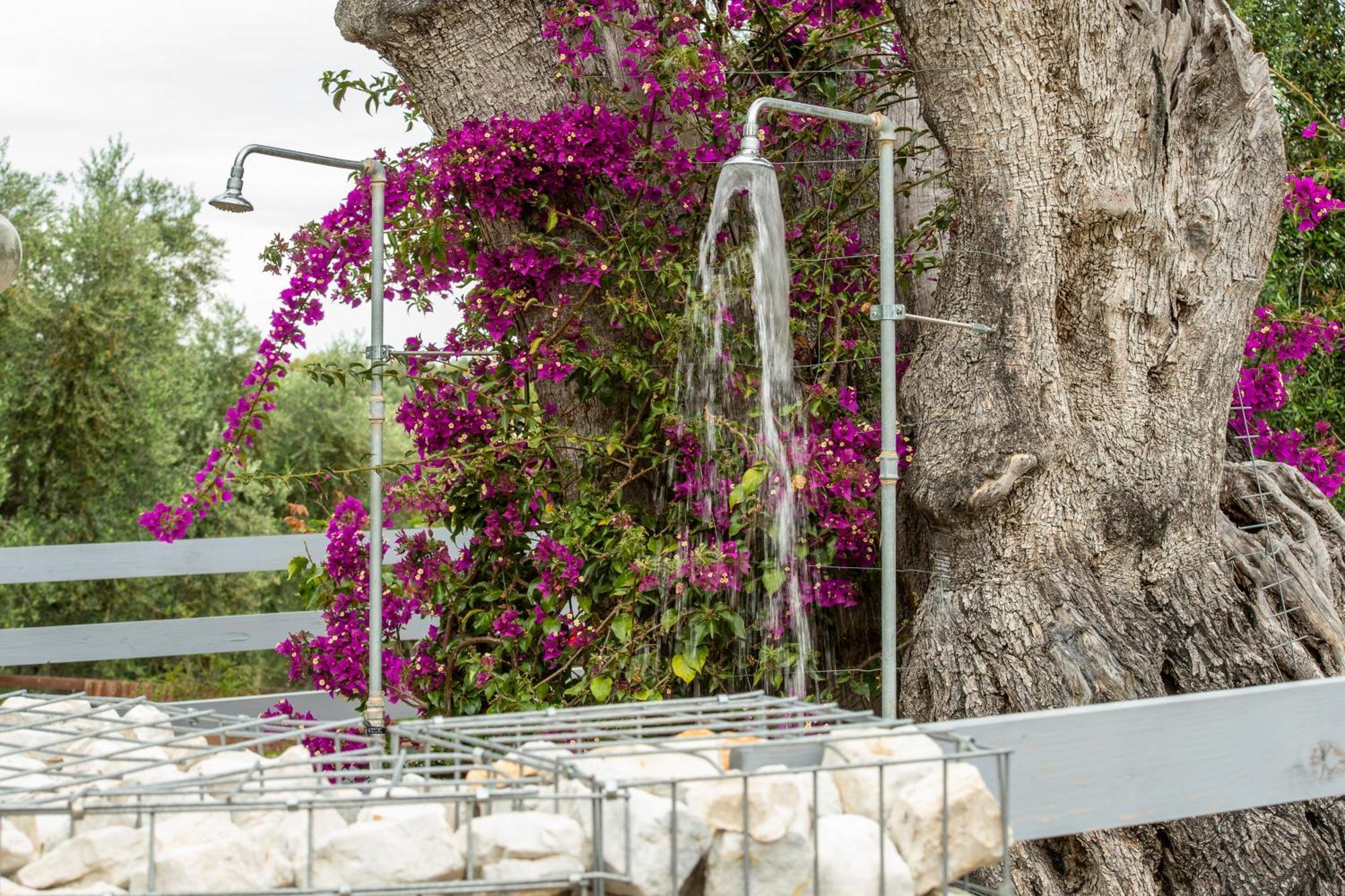 Agriturismo Passione Natura Vieste Luaran gambar