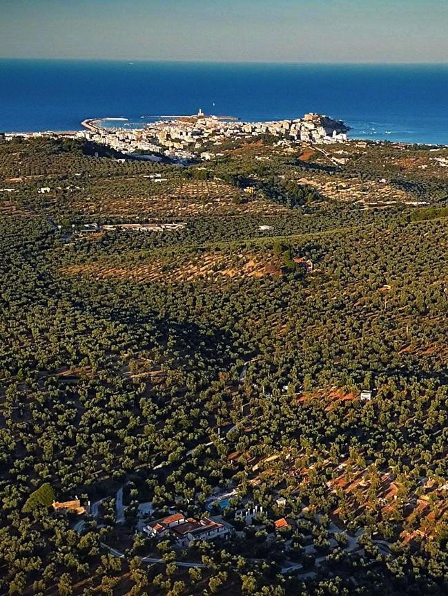 Agriturismo Passione Natura Vieste Luaran gambar